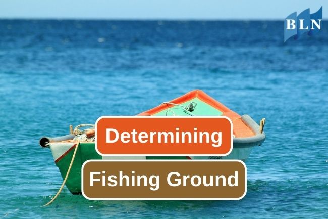 5 Ways To Determine Fishing Ground